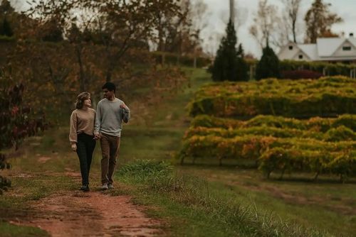 Amourmeet — How to Discover Joy Through Online Internet Dating?